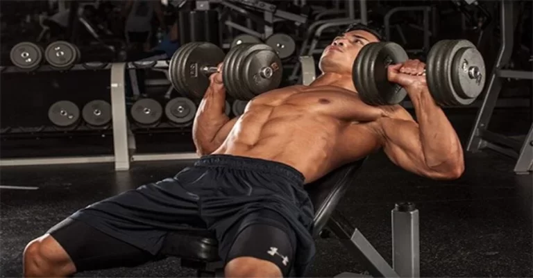 Treino, Musculação, fitness