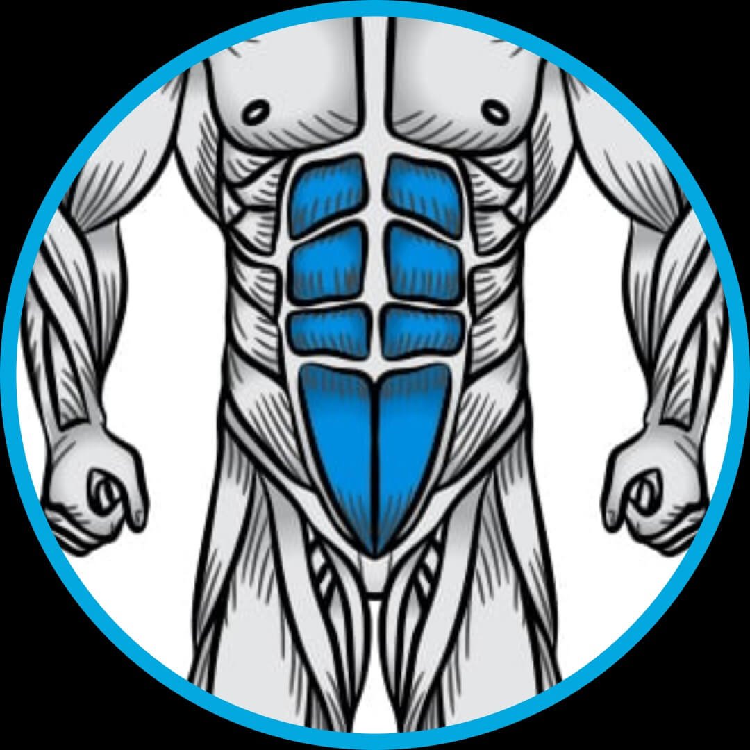 Treino, Musculação, fitness