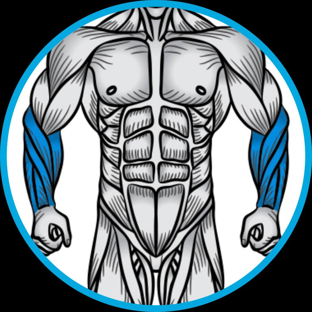 Treino, Musculação, fitness