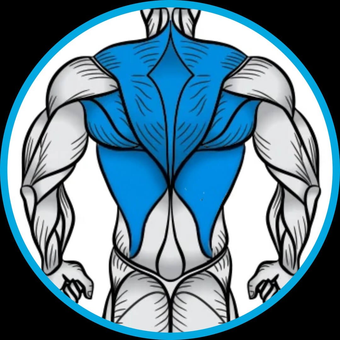 Treino, Musculação, fitness