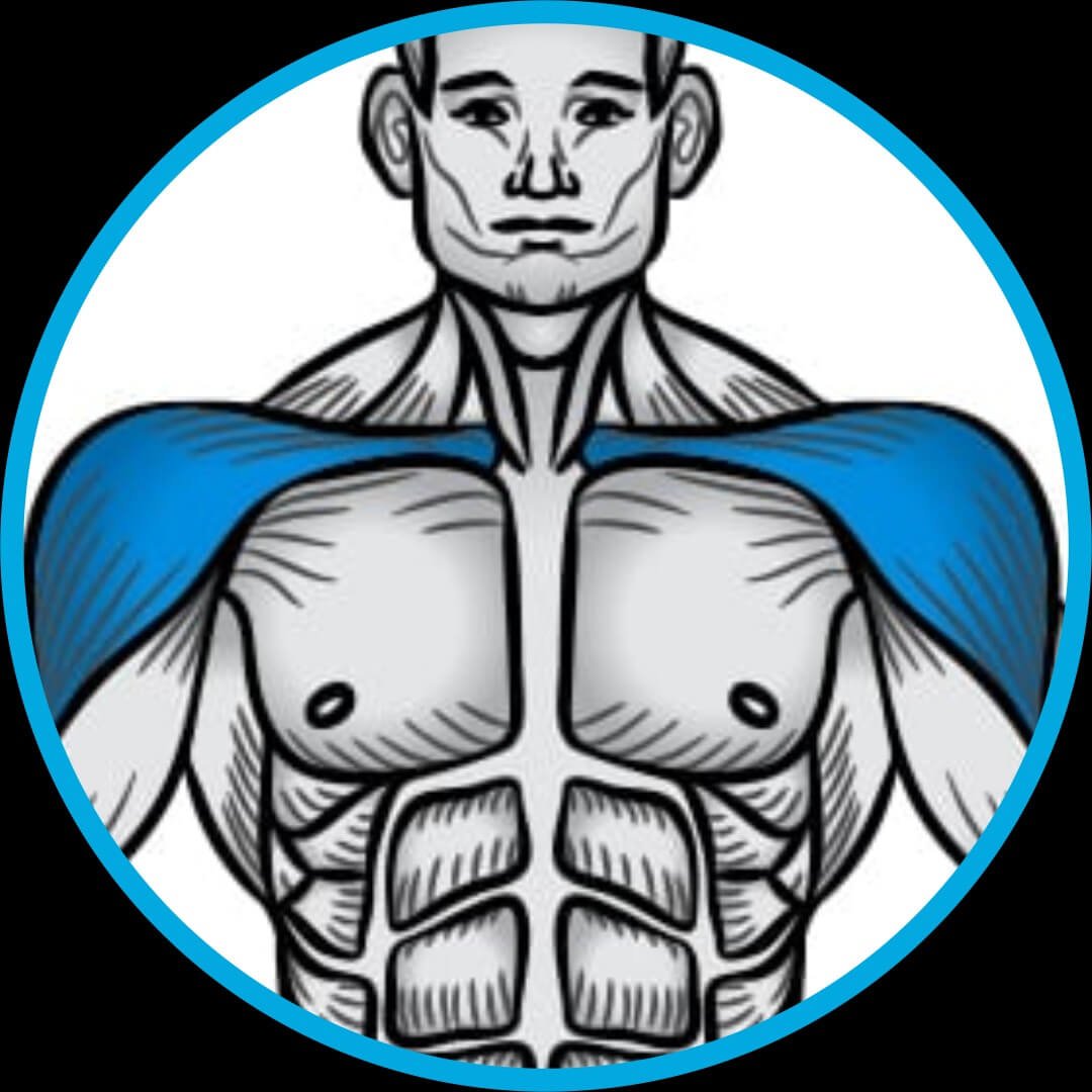 Treino, Musculação, fitness