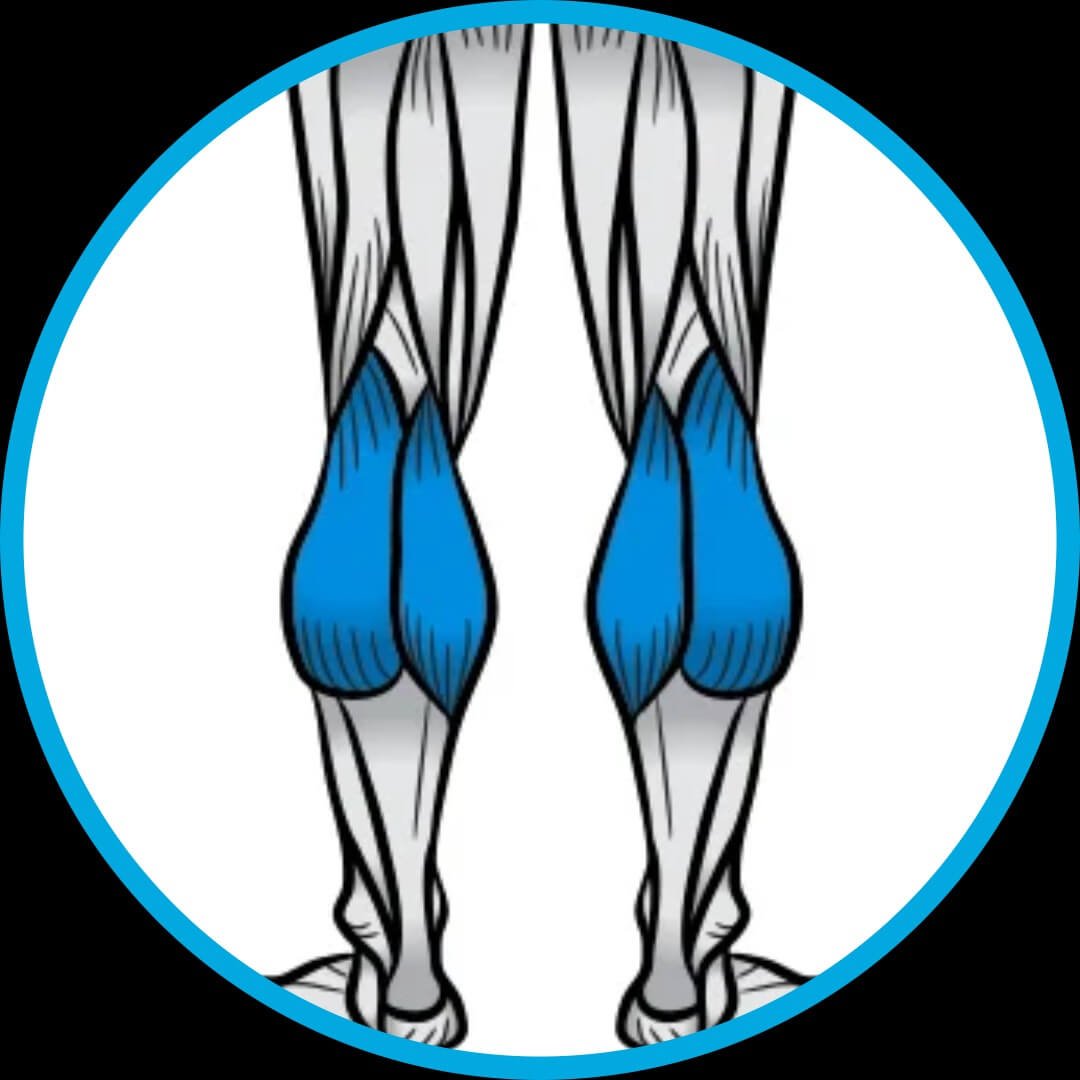 Treino, Musculação, fitness