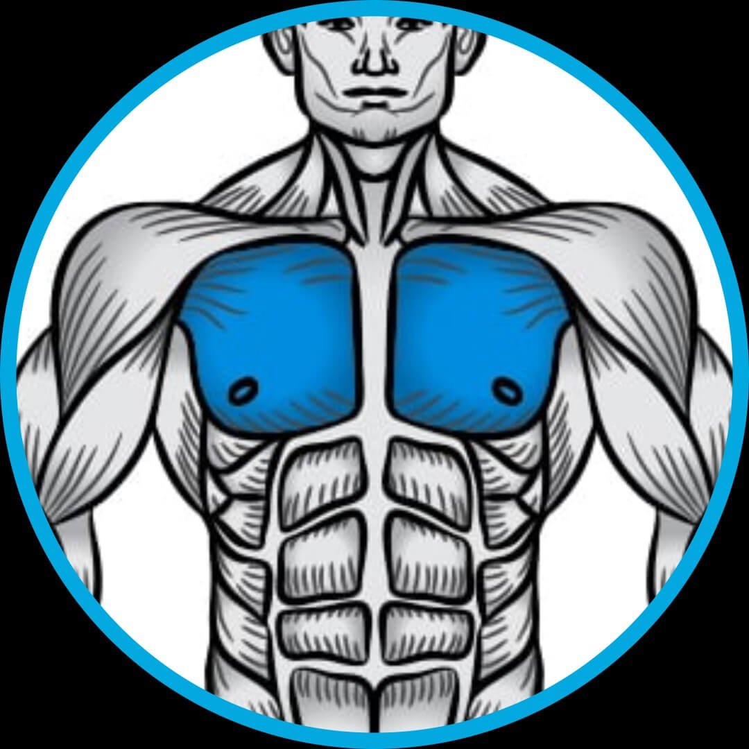 Treino, Musculação, fitness