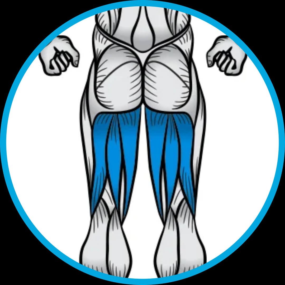 Treino, Musculação, fitness