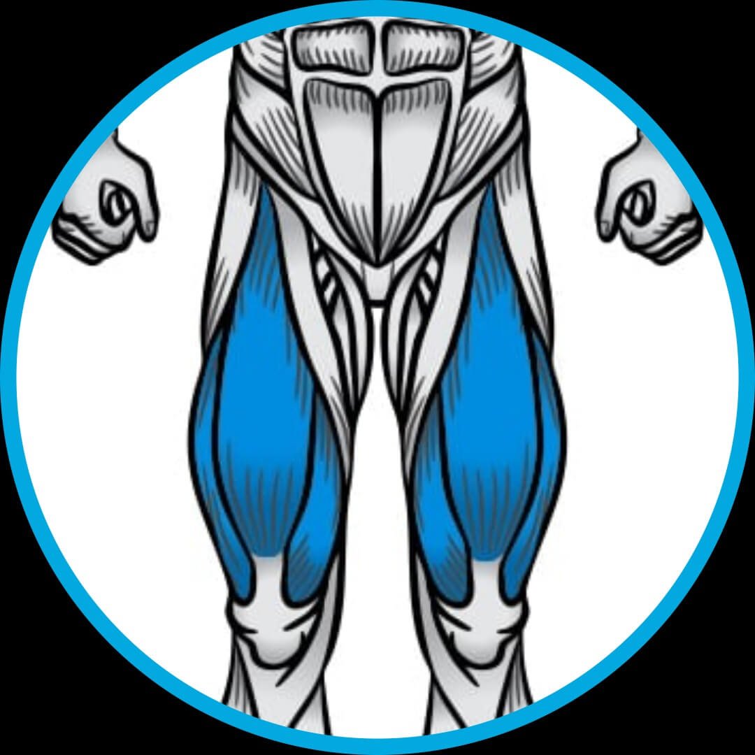 Treino, Musculação, fitness